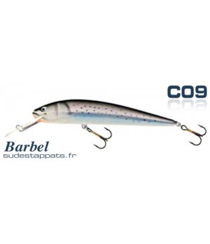 Barbel flottant 16 cm - coul. C09